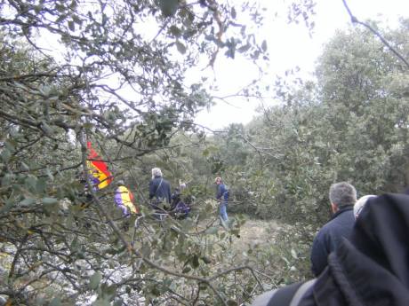 397461_10151494356759139_440043483_n