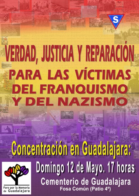 Cartel 12 mayo 2013 GUADALAJARA pequeño