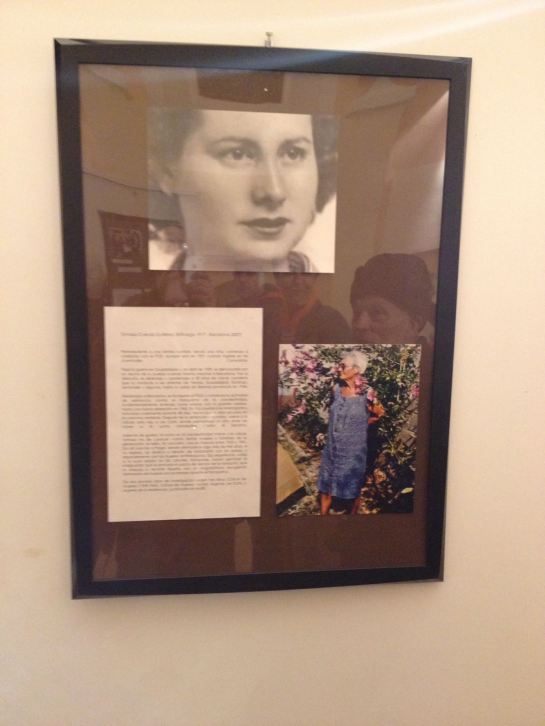 WhatsApp Image 2017-11-18 at 00.11.22 (1)